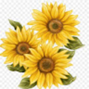 Meet your Posher, Sarah-silverberg